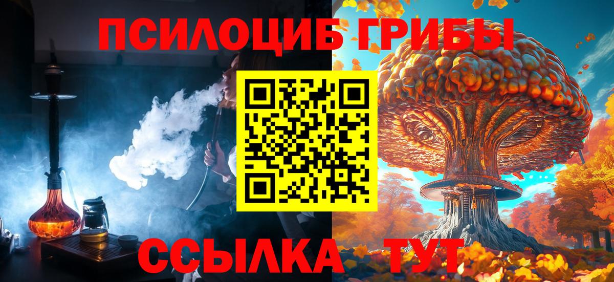 Псилоцибиновые грибы Psilocybe  Псилоцибиновые грибы GOLDEN TEACHER  Вход с VPN  Тихорецк 